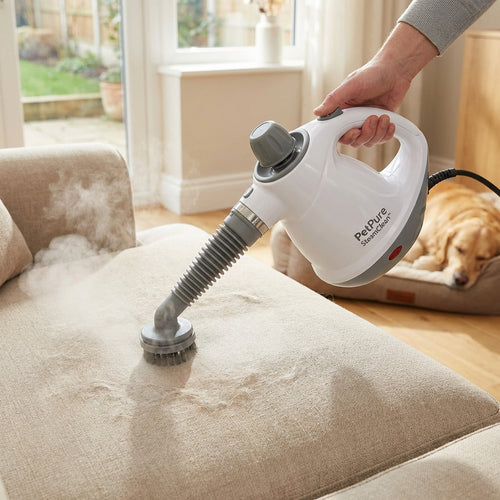 Remove dog odours with handheld Steam Cleaner