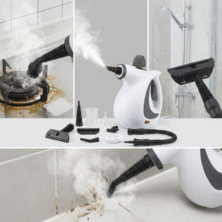 Steam Cleaner For Cat Owners